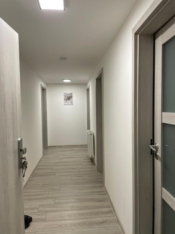 Apartament Cheb Dış mekan fotoğraf